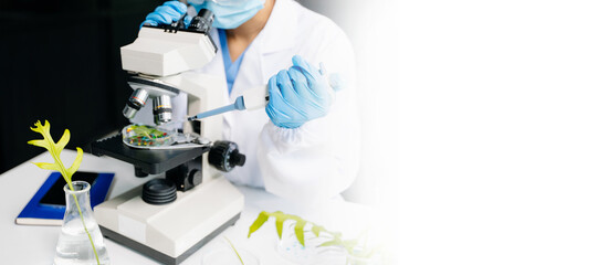 Biologist taking experiment with plants working in biochemistry laboratory.