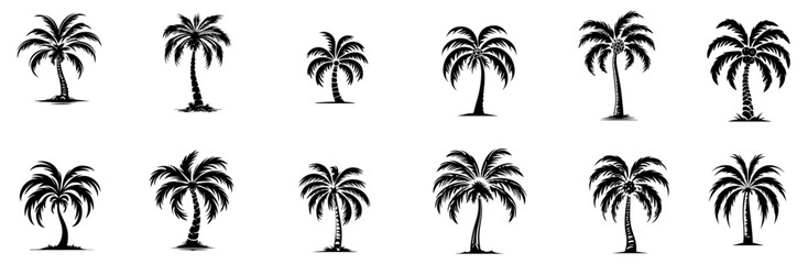 palm trees vector illustration silhouette for laser cutting cnc, engraving, decorative clipart, black shape outline