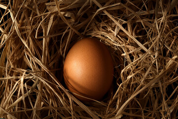Raw egg in a nest on a straw pillow, top view, easter concept