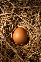Raw egg in a nest on a straw pillow, top view, easter concept
