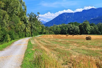 Long distance bicycle route Drauradweg in Austria. Landscape of Austria.