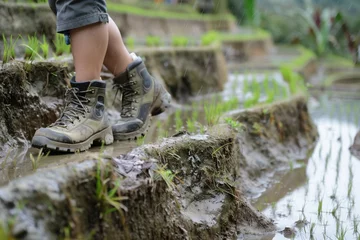 Poster visitor in hiking boots treading carefully on a wet terraced rice paddy © studioworkstock