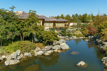 Beautiful view of large lake Oike in Japanese garden. Public landscape park of Krasnodar or Galitsky Park, Russia.