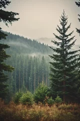 Foto auf Alu-Dibond Misty landscape with fir forest in hipster vintage retro style © Giuseppe Cammino