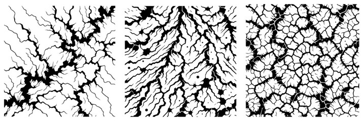 cracked volcanic lava pattern vector illustration silhouette laser cutting black and white shape