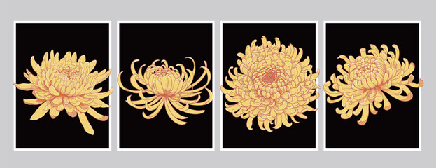 set of four yellow chrysanthemum flower blossoms isolated Vector illustration