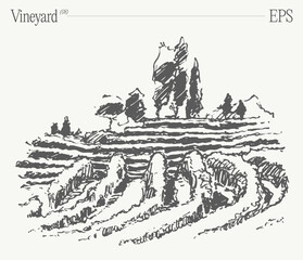 Vineyard Landscape. Vintage wine Label Background. Hand drawn vector illustration, sketch. - 768602967