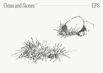 Hand drawn vector illustration of grass and rocks on blank backdrop. Isolated sketch. - 768604164
