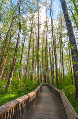 Billy Frank Jr. Nisqually National Wildlife Refuge