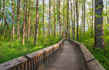 Billy Frank Jr. Nisqually National Wildlife Refuge