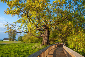 Billy Frank Jr. Nisqually National Wildlife Refuge