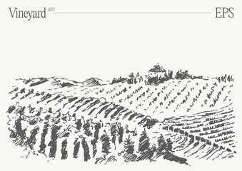 Vineyard Landscape. Vintage wine Label Background. Hand drawn vector illustration, sketch. - 768604595