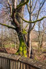 Billy Frank Jr. Nisqually National Wildlife Refuge