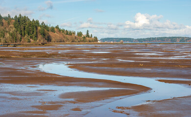 Billy Frank Jr. Nisqually National Wildlife Refuge