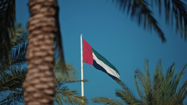 The UAE flag waving on the flagpole, framed by palm trees, at Sharjah Flag Island in the United Arab Emirates