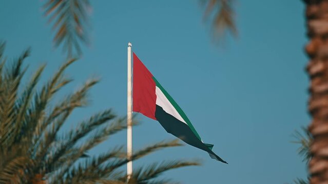 The UAE flag waving on the flagpole, framed by palm trees, at Sharjah Flag Island in the United Arab Emirates