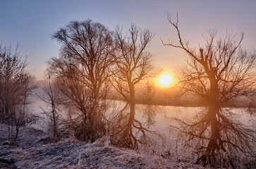 Foggy morning near the lake.
