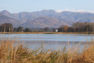 宮島沼の晩秋の色彩