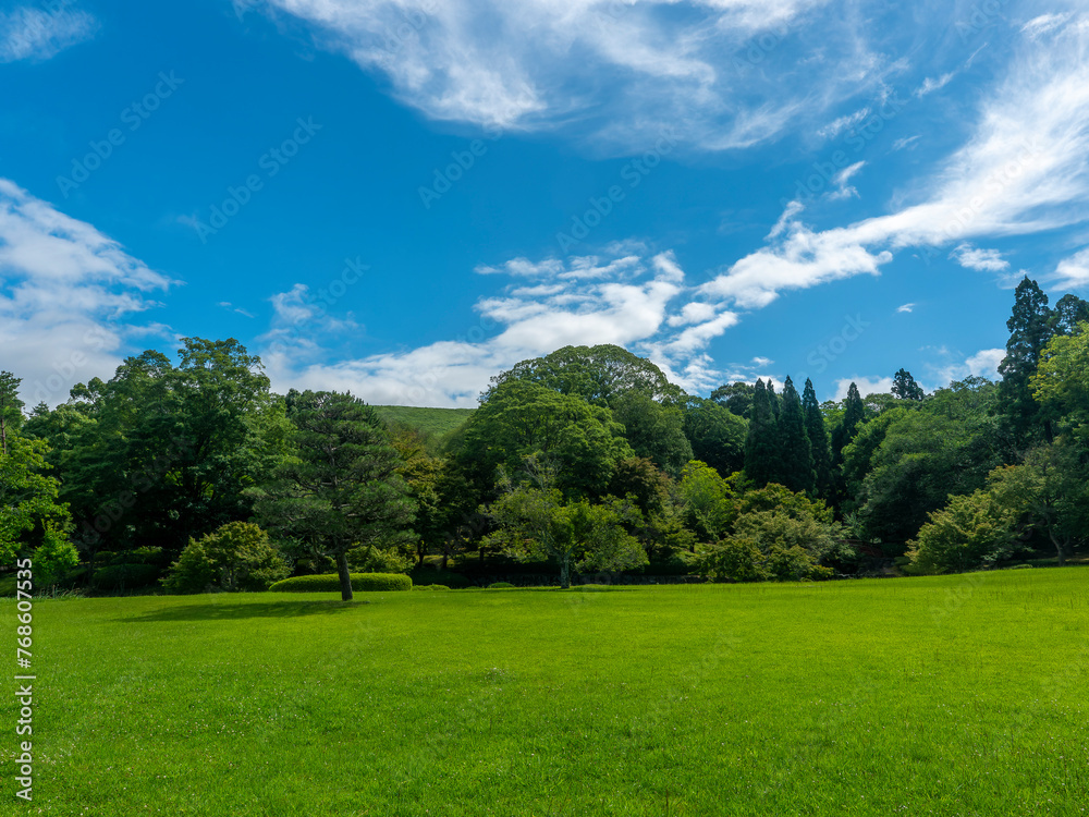 Poster 鮮やかな新緑の芝が広がる奈良公園の庭園