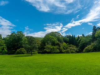 鮮やかな新緑の芝が広がる奈良公園の庭園