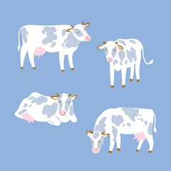 A set of cows isolated on the blue background. Simple animal illustration. Farming design. New Year Symbol.