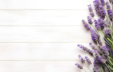 fresh lavender flowers and herbs on white wooden table backgroun