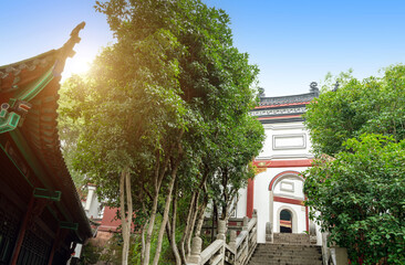 Scenery of Qingchuan Pavilion Park in Wuhan, Hubei, China. - 768614951