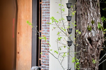 Close-up of copper wind chimes. They create a pleasant sound when rain falls, originating in ancient China for dispelling evil and later becoming popular decorations in Japan and other Asian countries