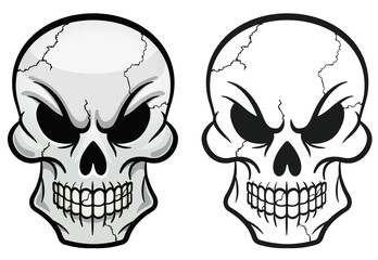 skull head drawing isolated design