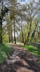 footpath in the park