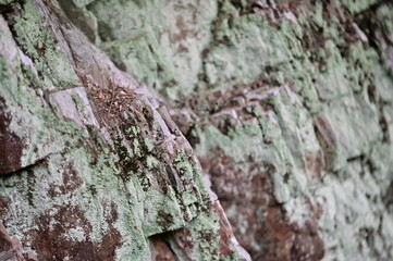 Cloudy day, a weathered stone wall by a hiking trail offers a striking scene. Black stones dusted with white powder, hinting at a lake green hue, create a natural canvas that enhances outdoor hikes.