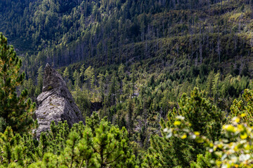 Obraz premium Scenic View, Hiking hight tatra, Téryho chate, Terry Hütte, Slovakia