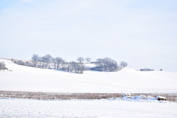 snow covered EIfel landscape
