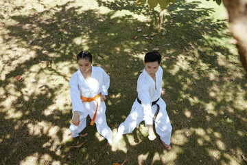 Taekwondo athletes practicing stance together, top view