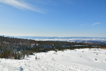 Fototapeta na wymiar Winter landscape of hokkaido japan near biei snow cold ski