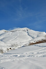 Fototapeta na wymiar Ski touring hokkaido japan in winter snow beautiful outdoor landscape