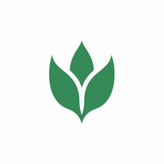 Illustration of flower