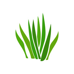 seaweed bush icon on a white background, vector illustration