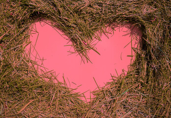 Pink heart on cutting fresh grass from the lawn. Abstract nature background. Grass texture. - 768647719