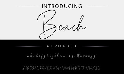 Lettering signature font isolated on background. brus style alphabet. Vector logo letters. - obrazy, fototapety, plakaty