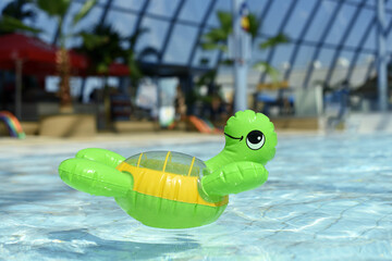 An inflatable turtle swims in the pool