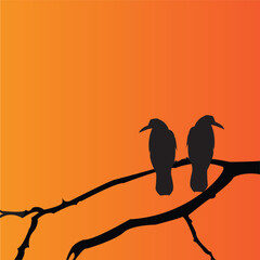 Burung-04