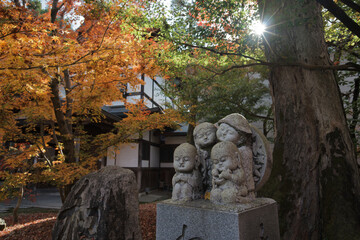 永観堂 - Eikando Temple in Kyoto, Japan