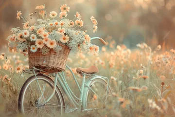 Foto auf Acrylglas A vintage bicycle adorned with a wicker basket of fresh flowers, set against a charming countryside scene, exuding a warm and nostalgic ambiance with a touch of romance. © mihrzn