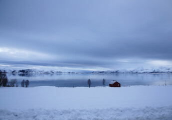 Buksnesfjord in inverno, Vesterålen. Norvegia, Nordland