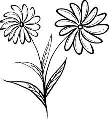 Single line art flowers, simple illustration. Vector file