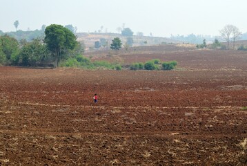 plowed field and boy in the morning