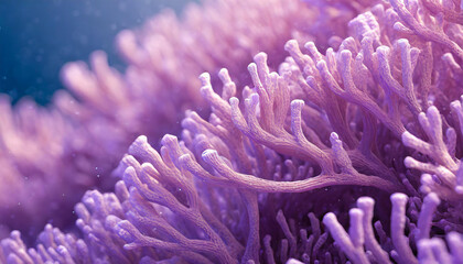 Close-up of minimalistic beautiful natural purple corals. Coral texture underwater. Marine life.