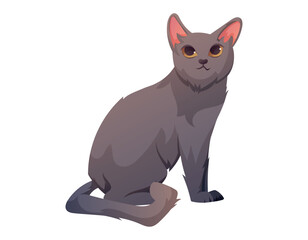Gray sitting domestic cat, vector isolated cartoon illustration.