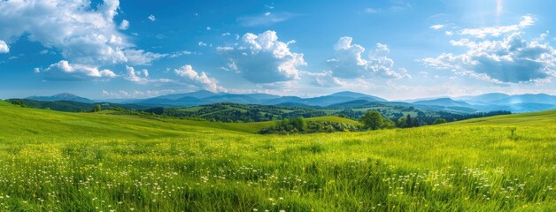 a green meadow perched on a hillside, surrounded by the fresh colors of spring, with a majestic mountain range looming in the background, offering a sweeping panoramic view of natural splendor.